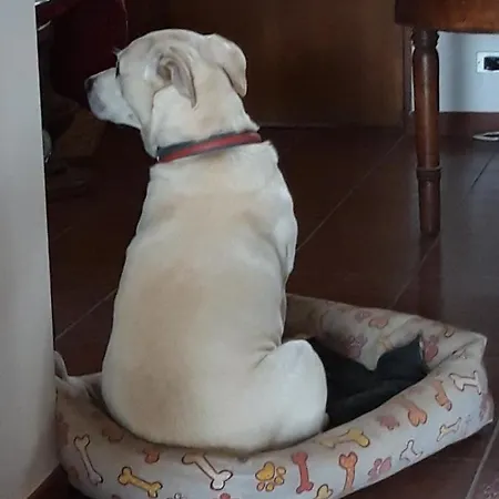 Bed and breakfast Da Franca 3*