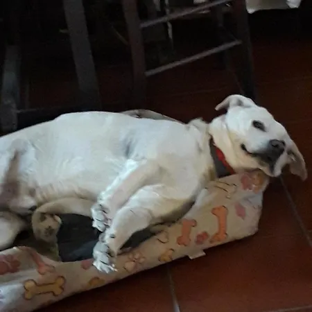 Da Franca 3* Assisi