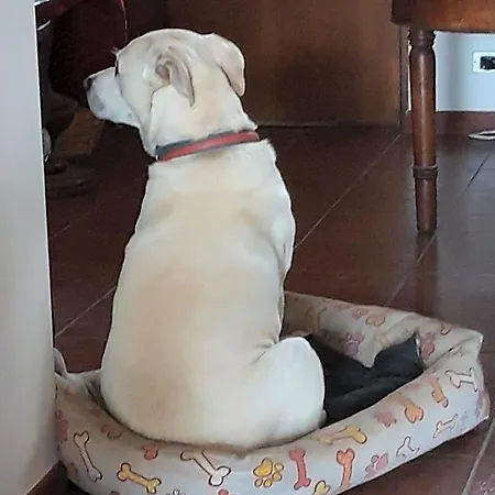 Da Franca 3*