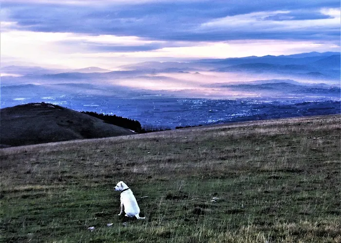 Alojamento de Acomodação e Pequeno-almoço Da Franca 3*