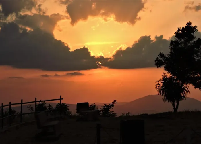 Da Franca 3* Ассизи