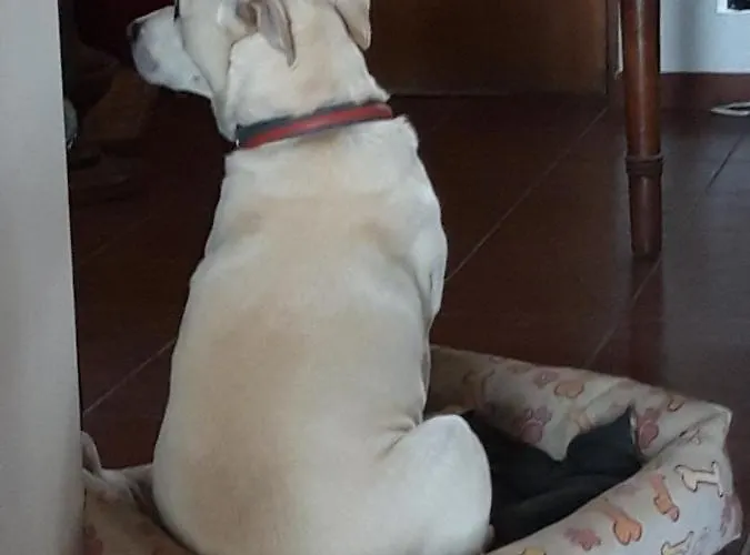 Bed & Breakfast Da Franca 3*