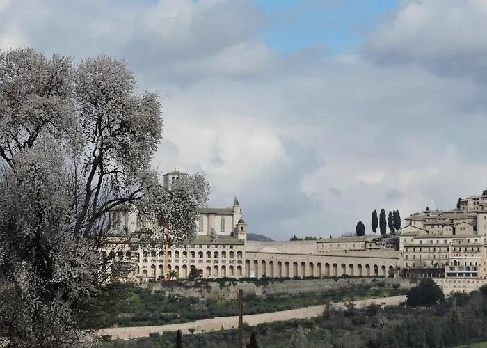 Alojamento de Acomodação e Pequeno-almoço Da Franca